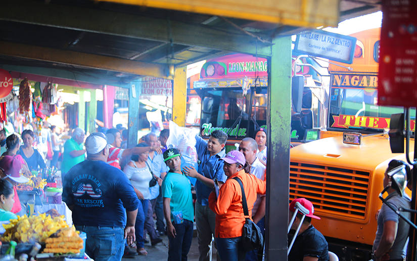 buses